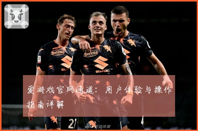 爱游戏官网通道：用户体验与操作指南详解